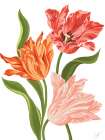 Whispering Tulips Art Print
