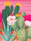 Sunset Cactus Art Print