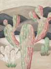 Desert Hues Art Print