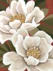 Peony Pair Art Print