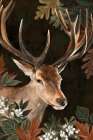 Forest Deer Art Print