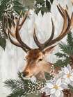 Holiday Deer Art Print