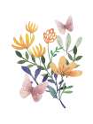 Butterflies and Flowers Art Print by Dogwood Portfolio