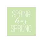 Spring Has Sprung Art Print by Dogwood Portfolio