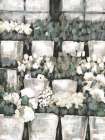 Rows of Flowers Art Print by Dogwood Portfolio