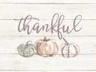 Thankful Art Print