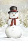 Hopper the Snowman Art Print