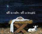 All is Calm, All is Bright Art Print