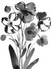 Modern Poppies Art Print by Dogwood Portfolio