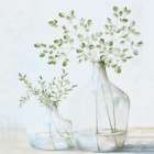 Simplistic Greenery Art Print