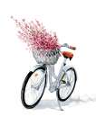 Flower Bicycle III Art Print