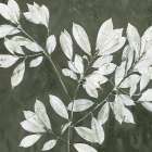 Pressed Leaves Art Print by Dogwood Portfolio