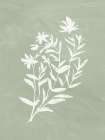 Botanical Toss I Art Print