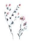 Dainty Botanical Art Print