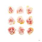Pink Roses Art Print