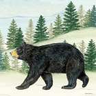 Black Bear in the Woods Art Print