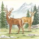 Two Deer in Forest Art Print