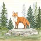 Fox in Forest Art Print