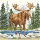Moose in Forest Art Print