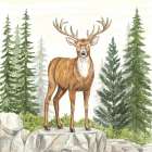 Deer in Forest Art Print