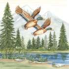 Mallard Ducks in Forest Art Print