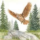 Owl in Forest Art Print
