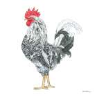 Artisan Farm Rooster I Art Print