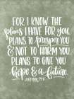 The Plans I Have for You Art Print