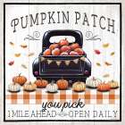 Pumpkin Patch Art Print