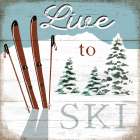 Live to Ski Art Print