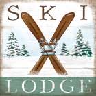 Ski Lodge Art Print