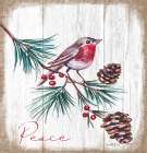 Peace Bird Art Print