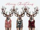 Merry Christmas Deer Trio Art Print
