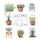 Home is Where my Plants Are Art Print