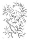 Botanical Birds II Art Print