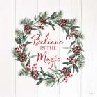 Believe in the Magic Wreath Art Print