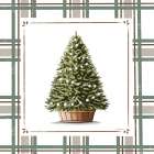 Potted Christmas Tree Art Print