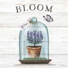 Bloom Terrarium Art Print