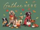 Gather Here Dogs Art Print