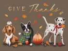 Give Thanks Dogs Art Print
