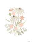 Daisies in Bloom Art Print