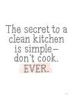 Clean Kitchen Art Print