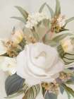 Floral Variegate I Art Print