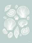 Tossed Sea Shells Art Print