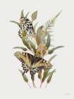 Butterfly Grove I Art Print