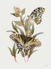 Butterfly Grove III Art Print