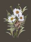 Fluttering Ferns II Art Print