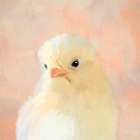 This Little Chick Art Print