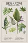 Herbarium Art Print