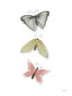 Watercolor Butterflies Art Print